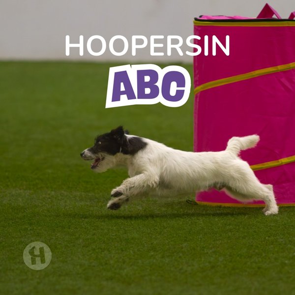 Product image of  Hoopersin ABC -webinaari 13.7.2026