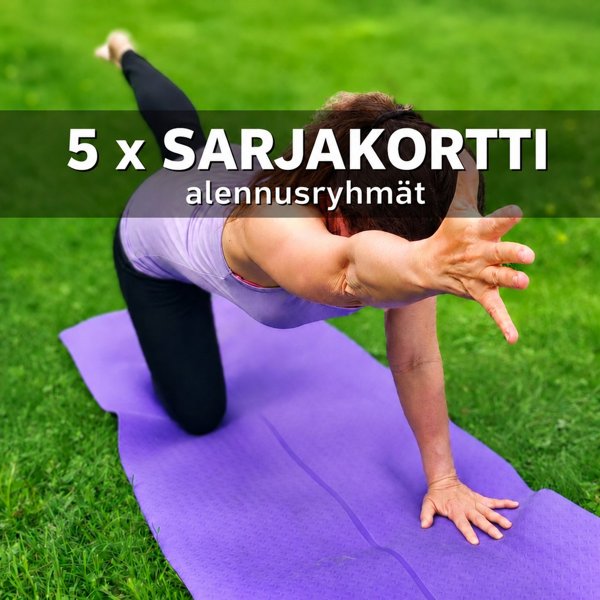 Product image of  5 x SARJAKORTTI alennusryhmät