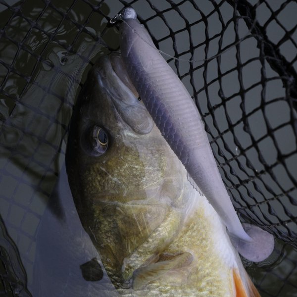 Product image of  2h Kalastusopetus vesillä