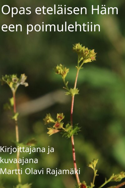 Product image of  Opas Etelä-Hämeen poimulehtiin
