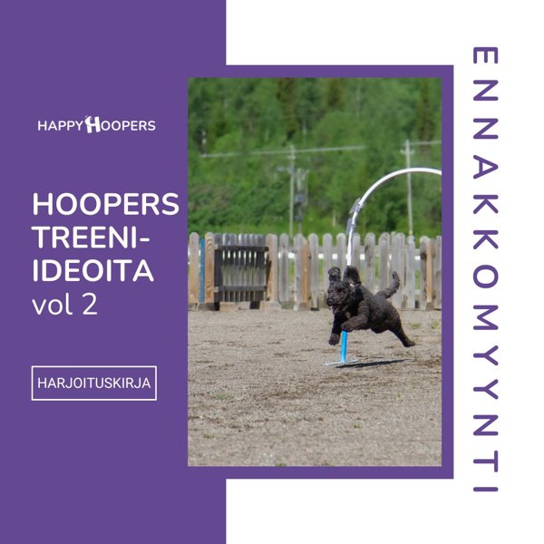 Product image of  ENNAKKOMYYNTI Hooperstreeni-ideoita -harjoituskirja jatko-osa