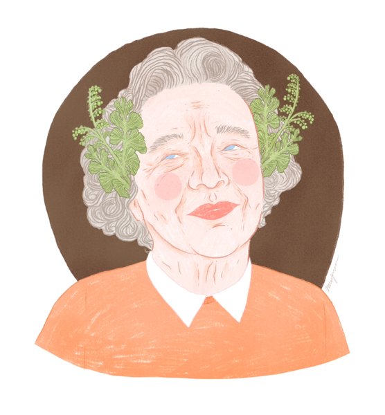 Product image of  MUIJA Eeva Kilpi vinyylitarra
