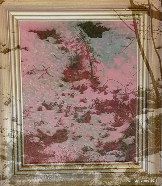 Product image of Pieni taidekuva METSÄNPEILI koko 268 kt