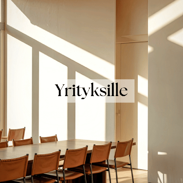 Product image of  Esiintymisvalmennus yritykselle
