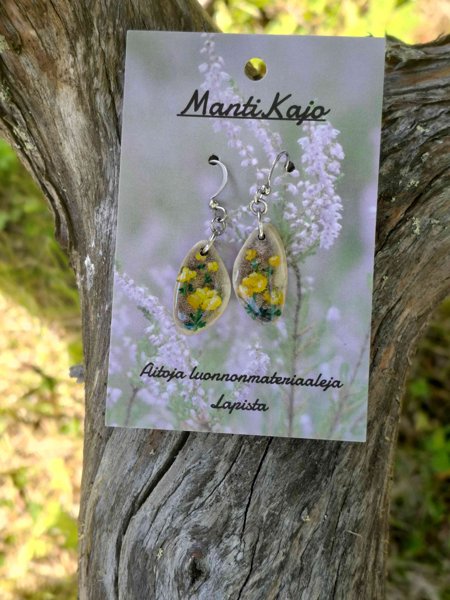 Product image of  Poronsarvi käsin maalattu kullero -korvakorut
