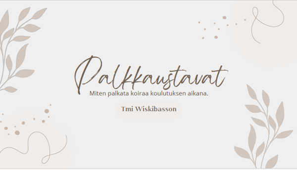 Product image of  Palkkaustavat