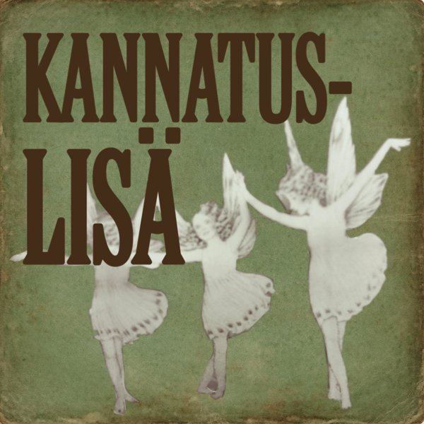 Product image of  KANNATUSLISÄ