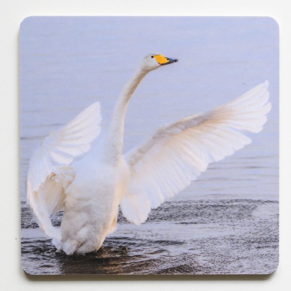 Product image of  Lasinalunen - Laulujoutsen