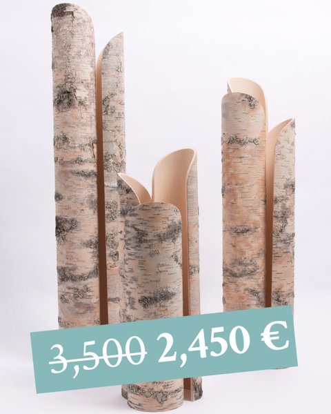 Product image of Secrets of the Forest