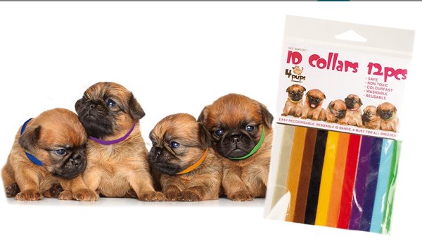 Product image of  Koiranpentujen merkkauspanta 12 kpl