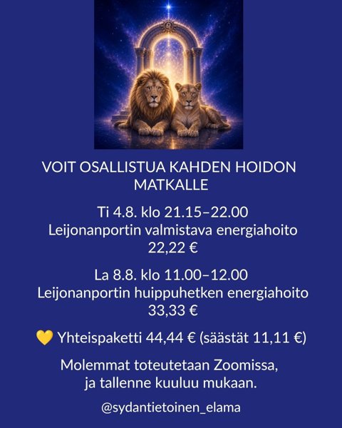 Product image of  LEIJONANPORTIN KAHDEN ENERGIAHOIDON PAKETTI