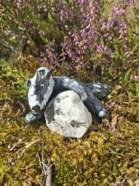 Product image of Mäyrä ja sateenkaari kuukivi