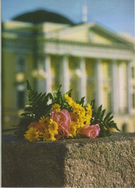 Product image of  SlangiBuidun kortti - Onnittelu