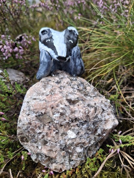 Product image of  Mäyrä