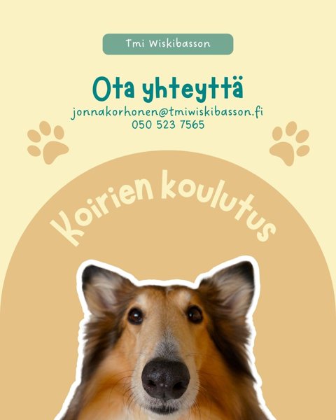 Product image of Koirien koulutus