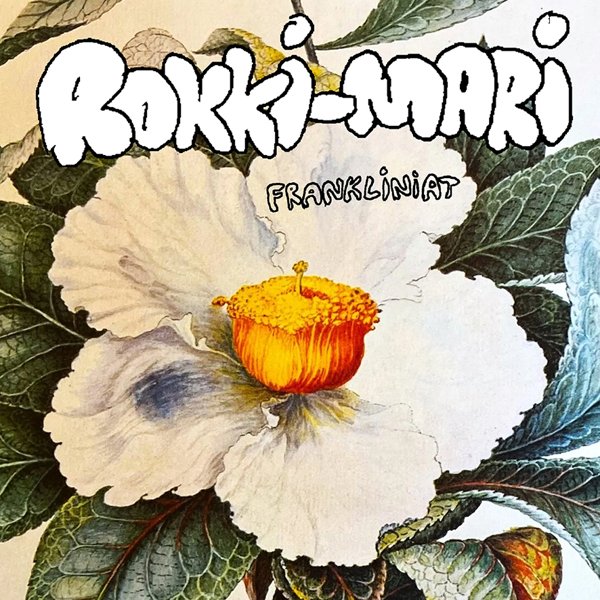 Product image of  Rokki-Mari – Frankliniat -7"