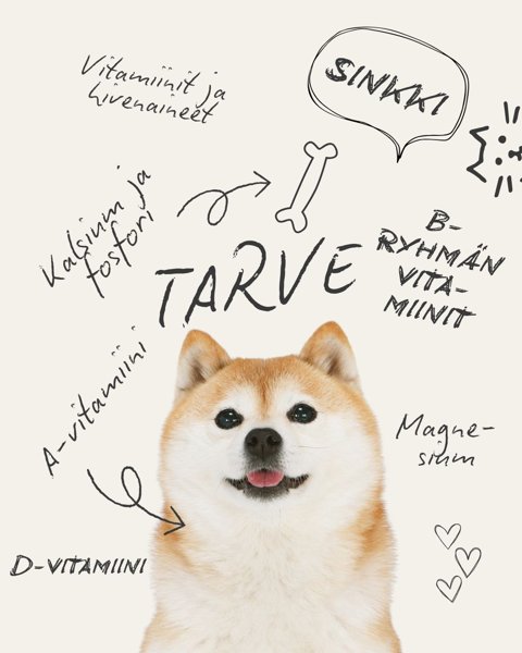 Product image of Koiran tarvelaskelma