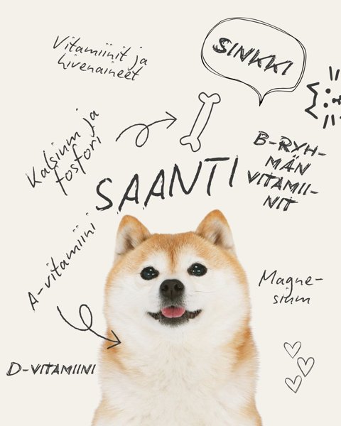 Product image of Koiran saantilaskelma