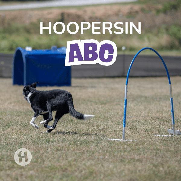 Product image of  Hoopersin ABC -webinaari 7.10.2026