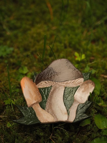 Product image of  Sienimetsä-hiusklipsi