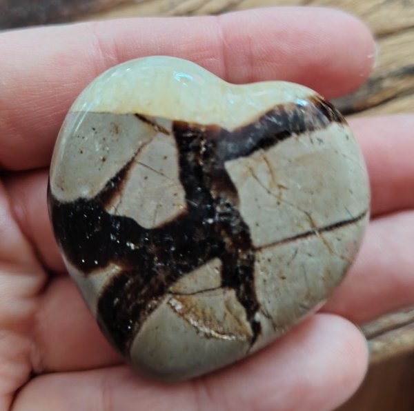 Product image of  Sydän, Septarian 2
