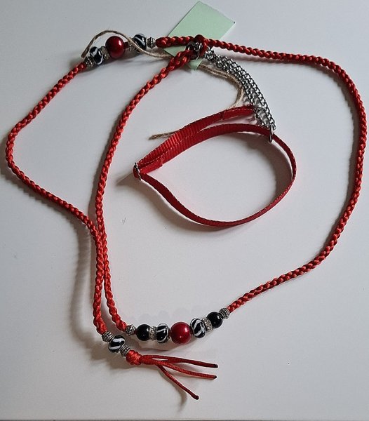 Product image of Punainen näyttelyhihna pannalla