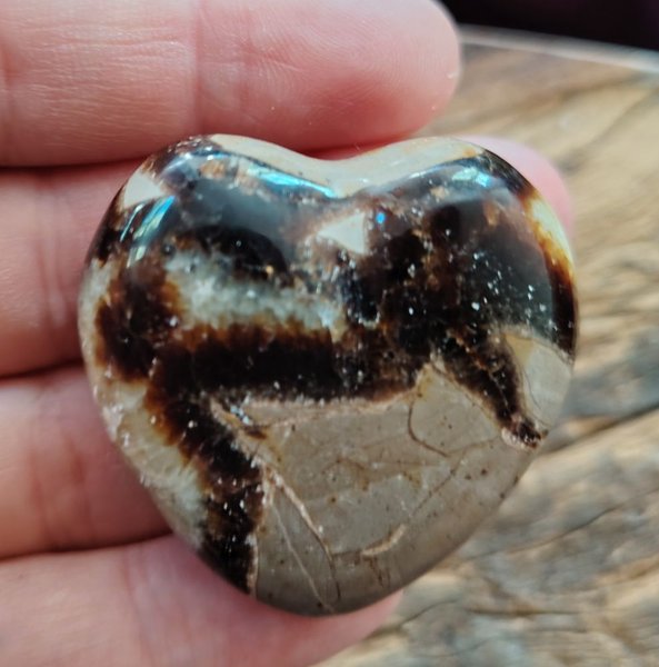 Product image of  Sydän, Septarian 3