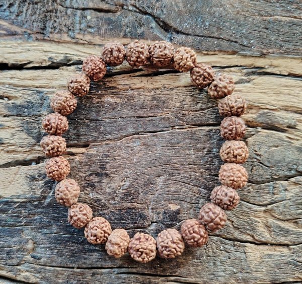 Product image of  Rannekoru, Rauha (rudraksha)
