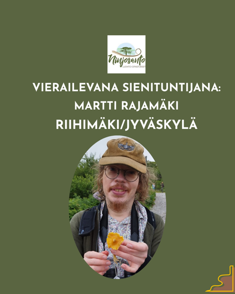 Product image of  Martin sieniretki 🍄‍🟫  Ma 7.9. Klo 17-19, RIIHIMÄKI