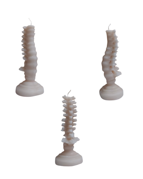 Product image of Selkärankakynttilä