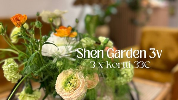 Product image of  3-vuotistarjous: 3 x kortti 33€