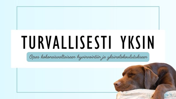 Product image of TURVALLISESTI YKSIN