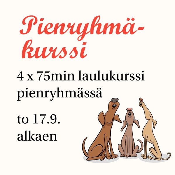 Product image of Syksyn pienryhmäkurssi 4x75min