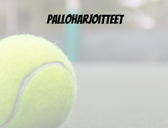 Product image of Palloharjoitteet