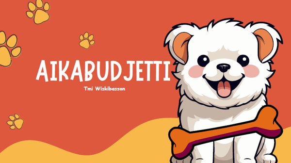Product image of Aikabudjetti