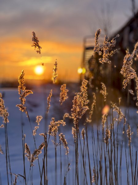 Product image of  HELSINKI MY LOVE 11