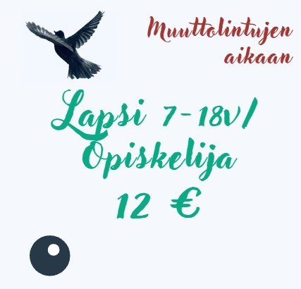 Product image of  Muuttolintujen aikaan -  Lapsi ja opiskelija