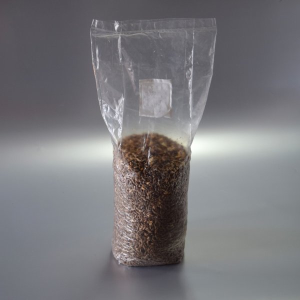 Product image of  Steriloitu jyvä / Sterilized grain (1.2 kg)