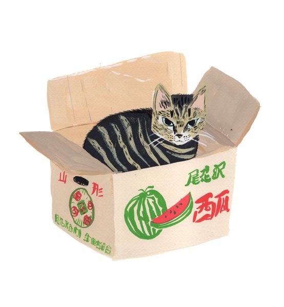 Product image of  Vesimelonilaatikkokissa