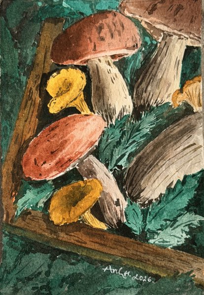 Product image of  Mushrooms