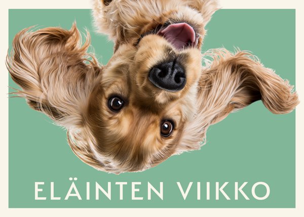 Product image of  ELÄINTEN VIIKON TARJOUS 2026: 3x kraniohoito koiralle