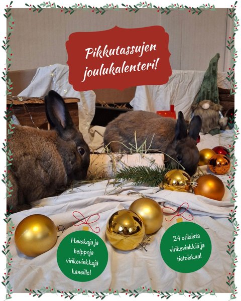 Product image of  Pikkutassujen joulukalenteri!