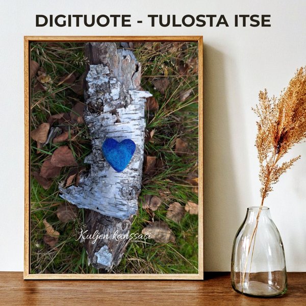 Product image of  Kuljen kanssasi