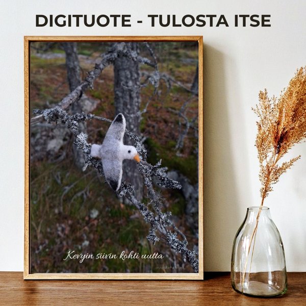 Product image of  Kevyin siivin kohti uutta