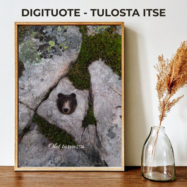 Product image of  Olet turvassa