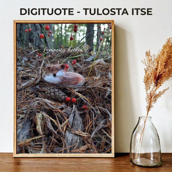 Product image of  Lempeitä hetkiä