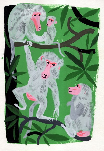 Product image of  Monkey branching