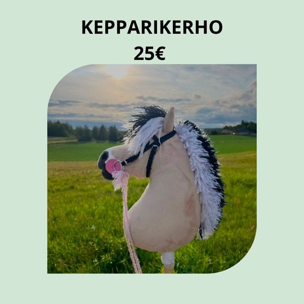 Product image of  Kepparikerhon osallistumismaksu ei jäsen