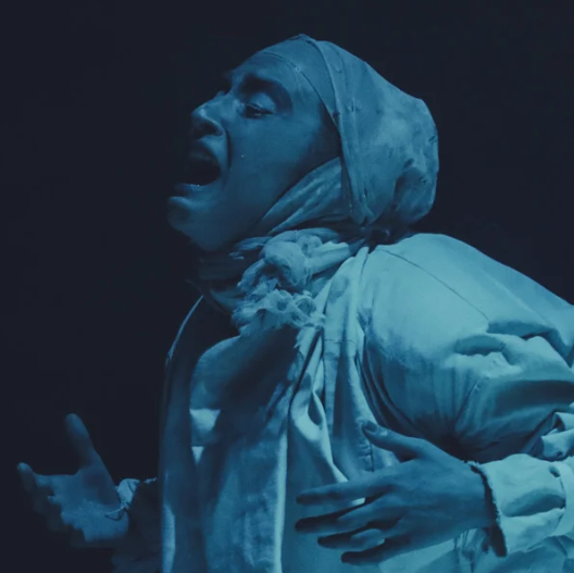 Product image of Stage Performing: Polish Your Act – Jan 2027